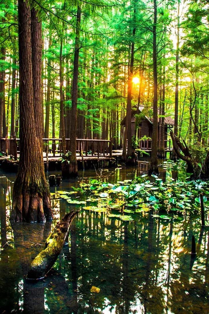 亚洲宜居城市排名2019,中国唯一一个国际评选的宜居城市