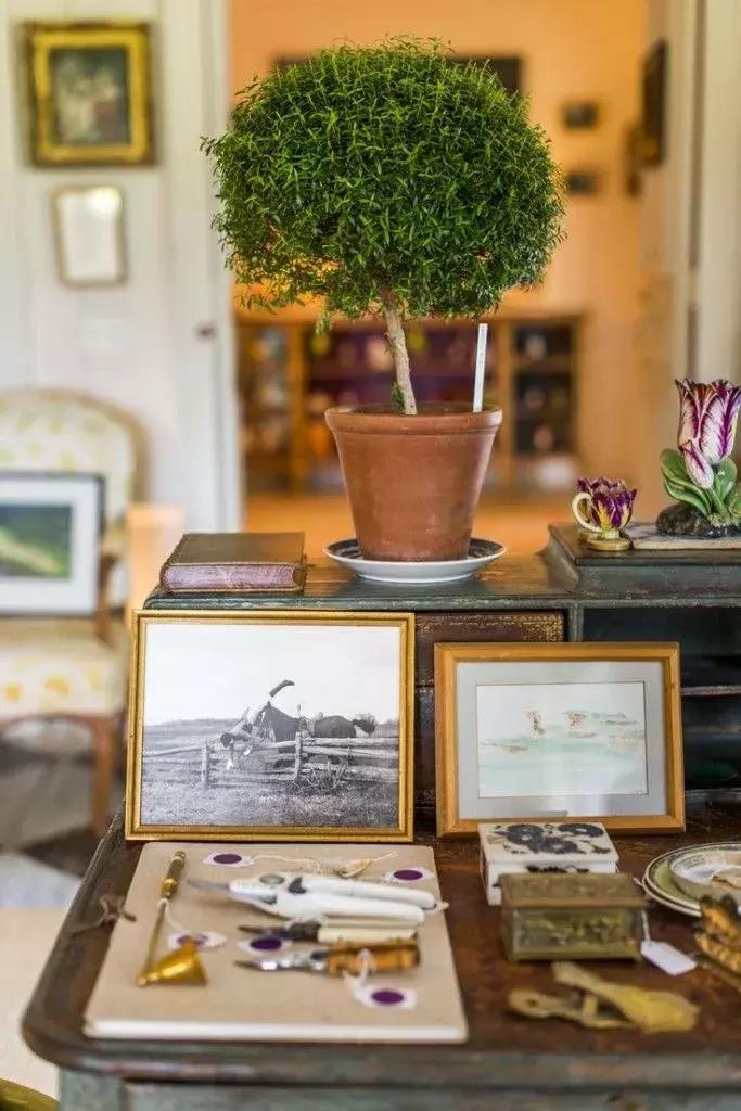 云鬓并不珠翠|BunnyMellon,一个世纪的美国风华