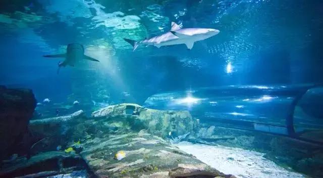 蜜月旅行就去这些海岛你值得拥有,10个最适合蜜月旅行的海岛