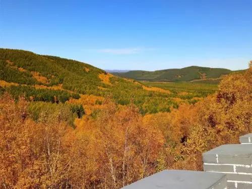 坝上三大景点,坝上草原是丰宁还是围场的