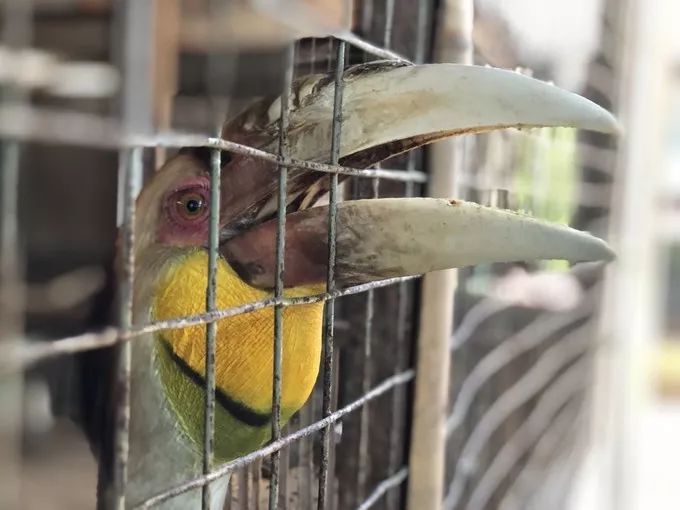 巴厘岛避雷指南和一些诚恳的小建议