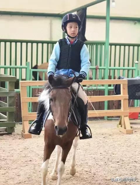 中国十大儿童诗作家,中国优秀的诗人100名