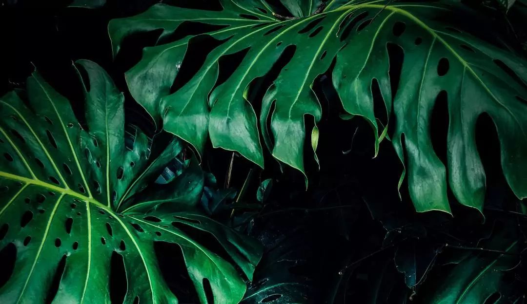 卸完指甲后表面受损怎么修复,经常做指甲变薄了应该怎么修复