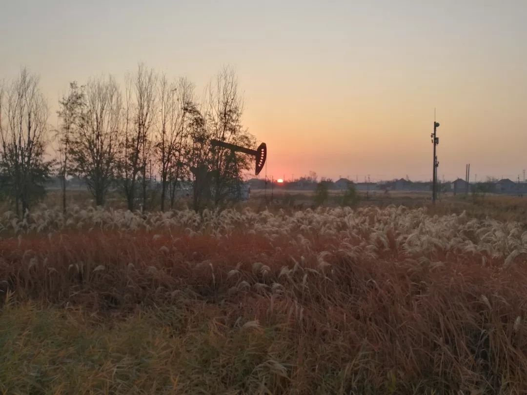 心灵深处的深处,心灵深处游子情怀