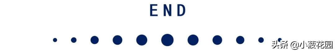 毛主席是运用“形而下”的高手，高高手