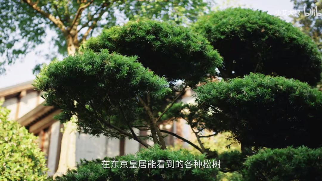 80%人对中式审美没信心？50岁大叔却花20年造园子，年轻人都喜欢