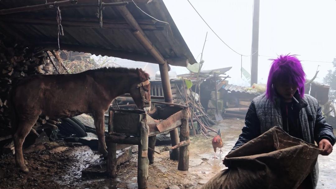 美院杀马特,美院老师躲过变态杀人案