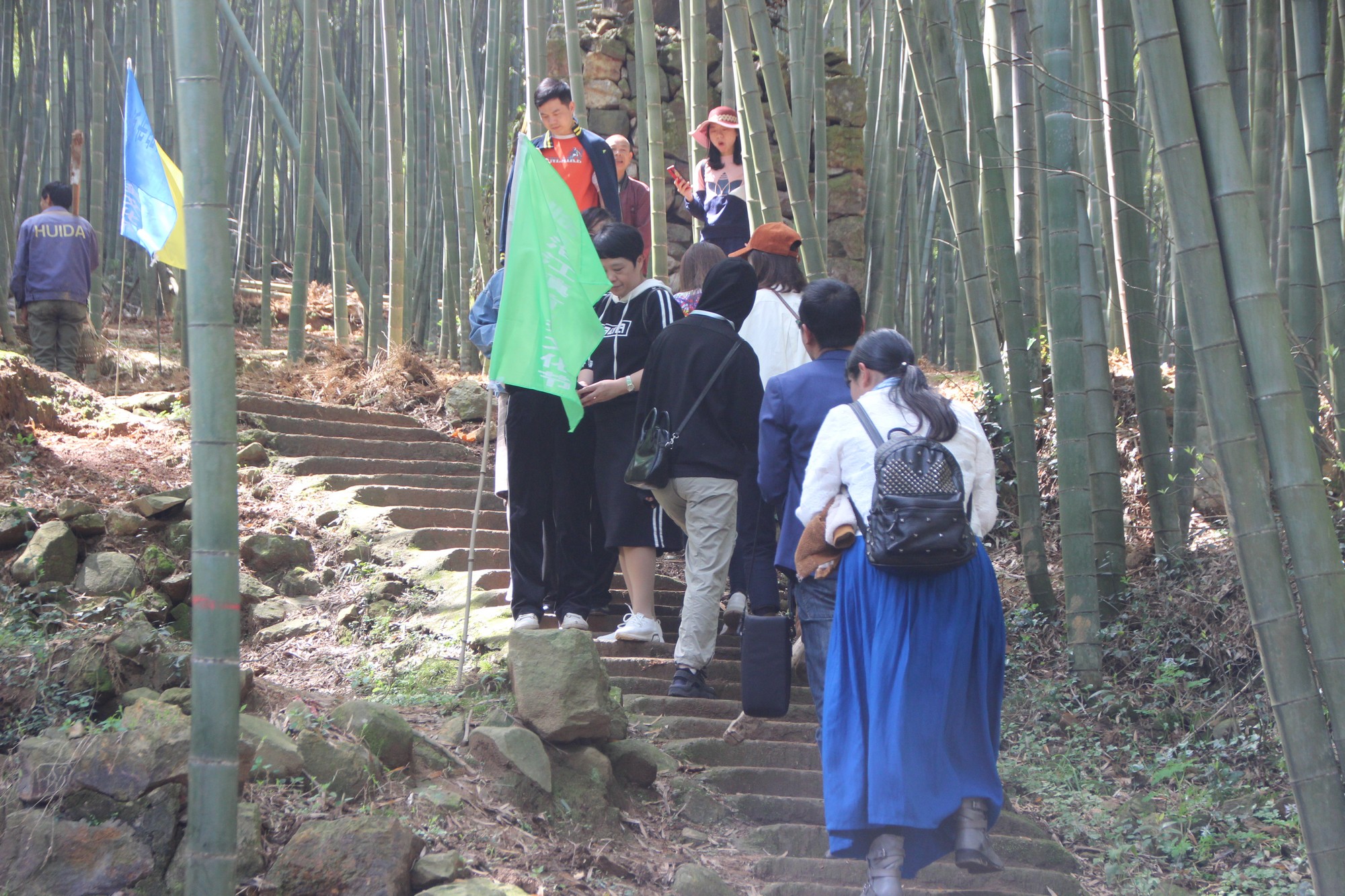 浙江临海沿江镇竹笋,临海市野生竹笋