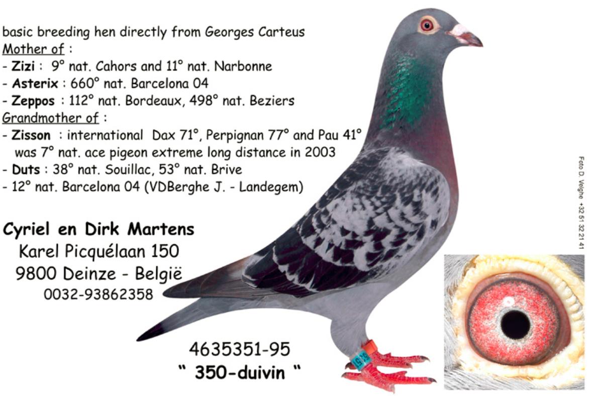 夏日炎炎防中暑正确的做法,闷热中暑怎么办