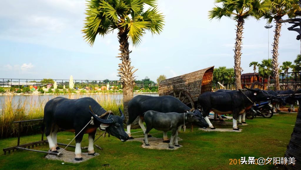 泰国芭提雅东芭乐园视频,芭提雅东芭乐园游玩攻略