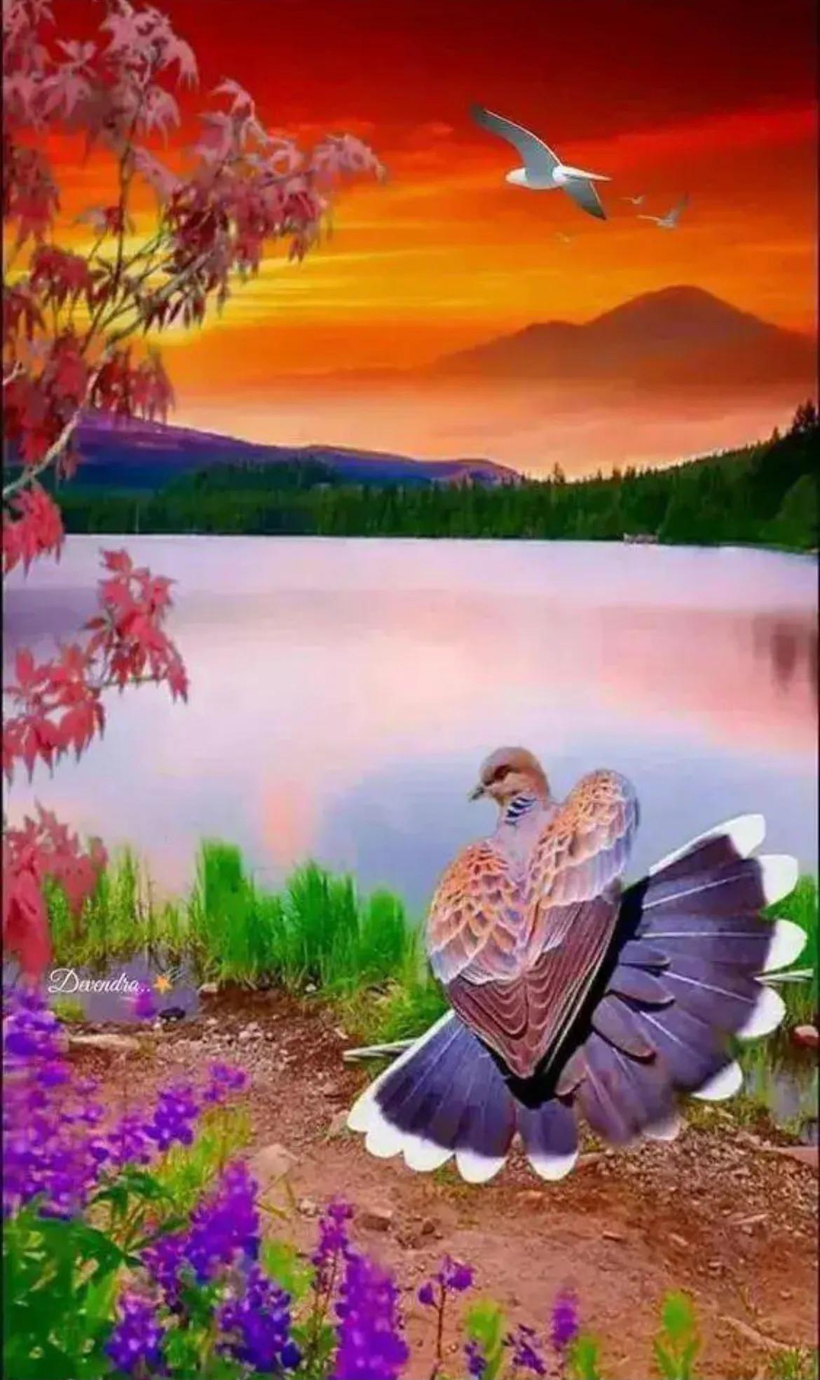 江浙沪方言土话大全搞笑,海派方言大全完整版