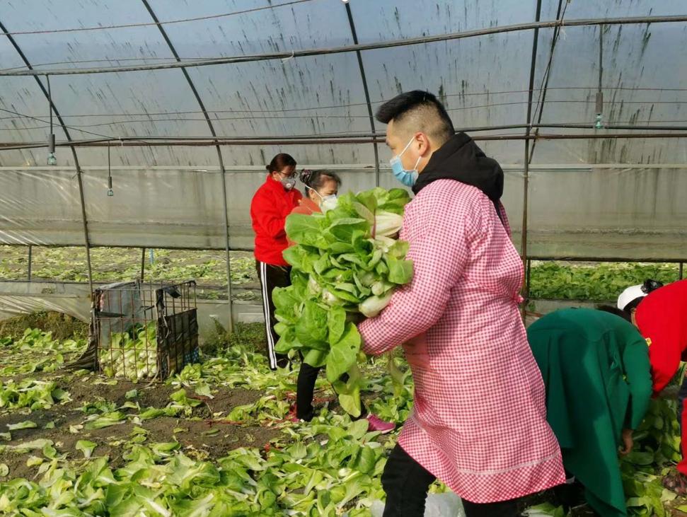 战疫期间平凡的人的不平凡故事,战疫中的生活