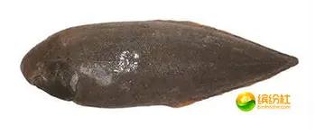 舟山4月份海鲜攻略,舟山海鲜代加工攻略