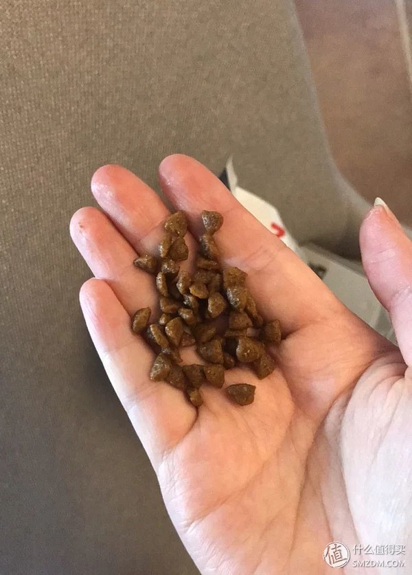 狗粮推荐0-6个月的幼犬粮,狗粮选择攻略