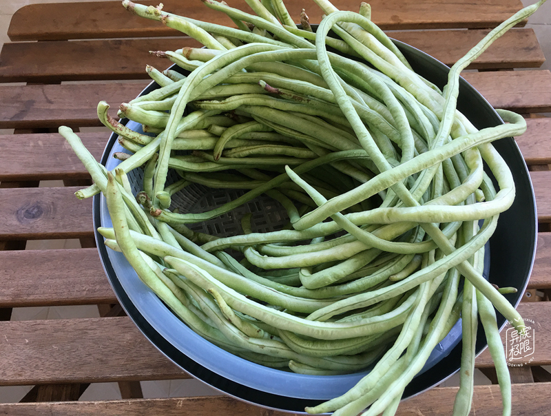 晒豆角干生着晒还是煮熟,干豆角的晒制方法不生虫湖南