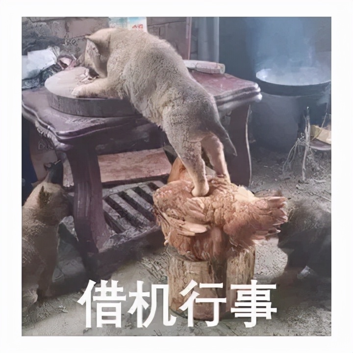 信用卡被盗刷有消费记录吗,信用卡被盗刷网上消费