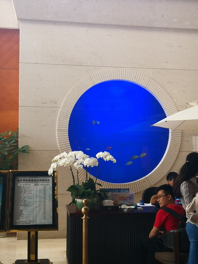 三亚新年自由行,一个人的旅行三亚之旅