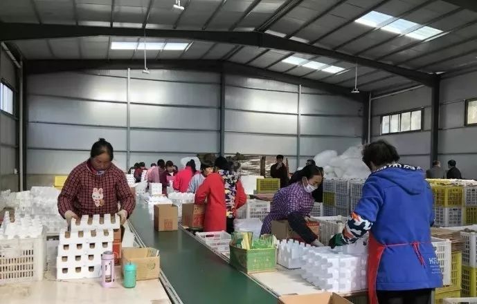 眉县猕猴桃为什么能上央视,眉县猕猴桃品牌故事