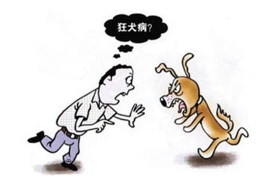 古代被狗咬后怎么治,古人如果被狗咬了怎么办