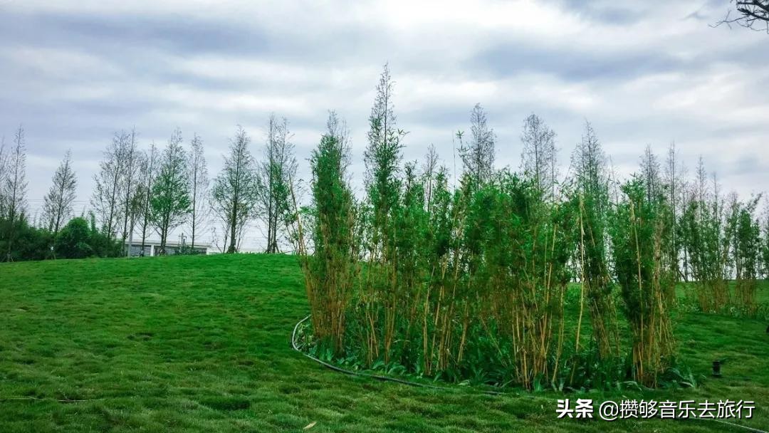 彭山竹韵廊公园,彭山竹韵廊在什么地方