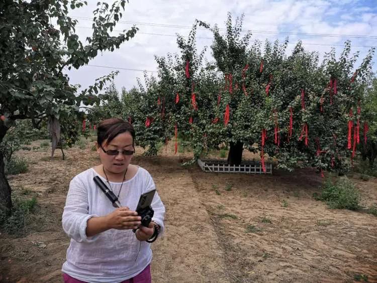 一大波美图即将来袭,一组美照来袭