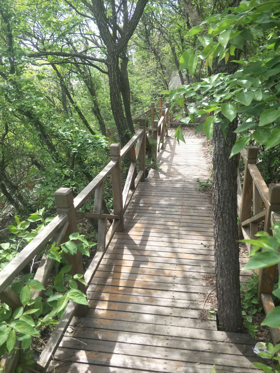 踏春五宝庵风景,踏春五宝庵山在哪里