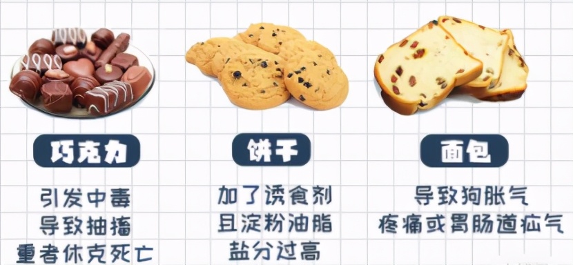 狗狗刚到家铲屎官注意事项,铲屎官必知的6个狗狗喂养好习惯