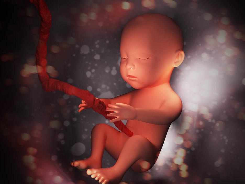 羊水和羊有关系吗,羊水为什么取名叫羊水