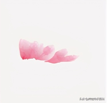 写意牡丹画法教程,零基础入门画法教给孩子,这样画简单又好看