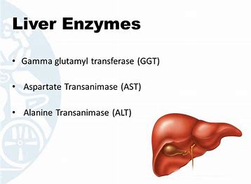 怀孕会导致转氨酶偏高么,怀孕后转氨酶高是什么原因造成的