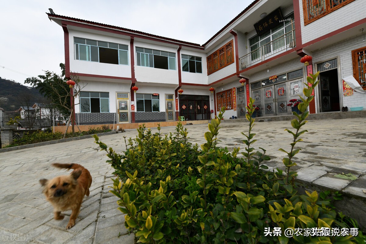 农村户口没房子住该找谁,如果一家有两个户口怎么办