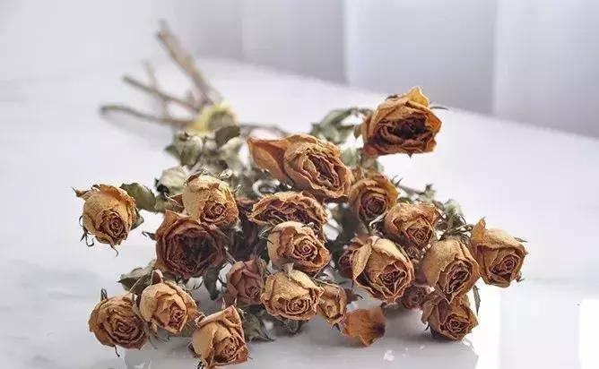 8种能做干花的鲜花，男朋友送的花就这么做