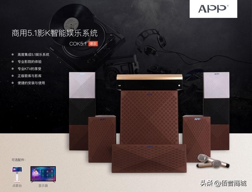 国产音响公认十大音响品牌,家用音响ktv音响哪种品牌好