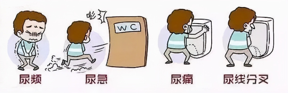冷想上厕所正常不,天一冷为什么老是想去厕所