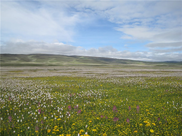 川藏线434自驾游详细线路,此生必驾g318自驾游攻略