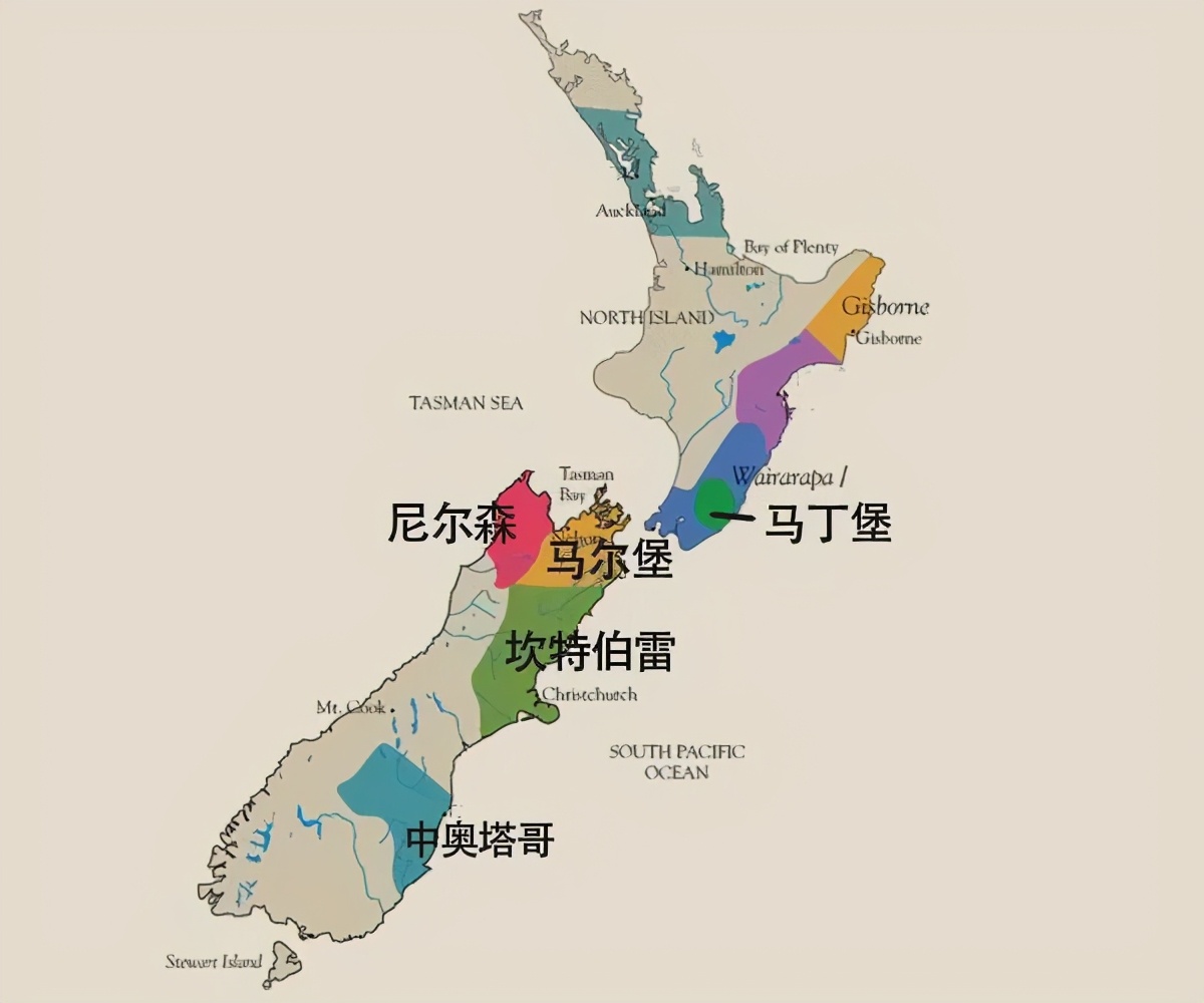 勃艮第黑皮诺好喝吗,勃艮第最顶级黑皮诺多少钱一瓶