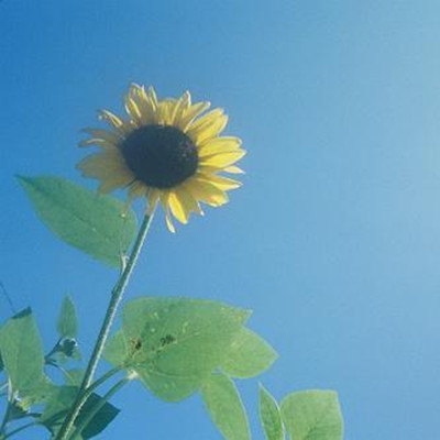 冷知识大普及！60个立竿见影的生活小妙招做你的帮手