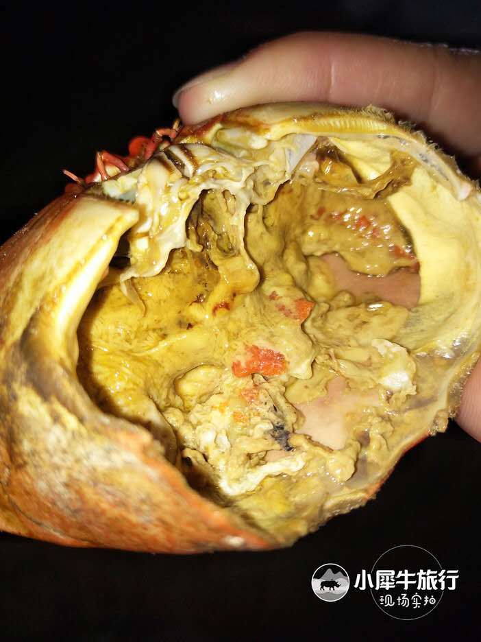 五一小长假海岛露营,小长假海岛露营