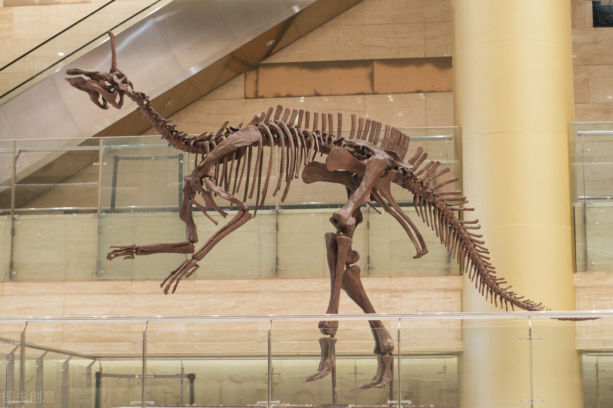 云南中科院院所有哪些,云南中科院简介