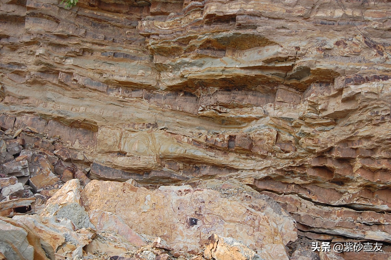 紫砂壶如何分辨真假紫砂？内行人：3分钟教你这几招就够了