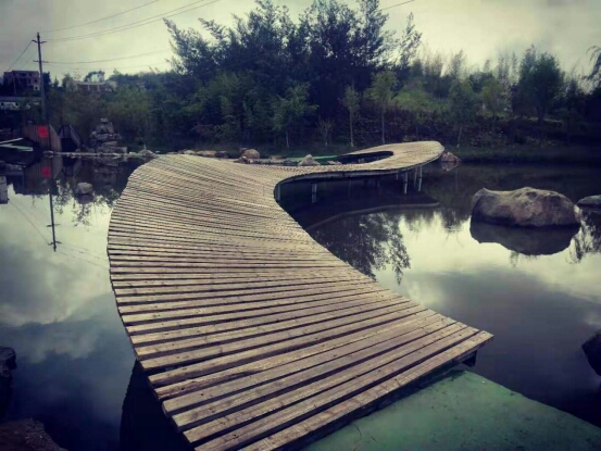 鍏嬩緷榛戠伀鎶婅妭绡濈伀鏅氫細,鍏嬩緷榛戠伀鎶婅妭鐜板満鐩存挱