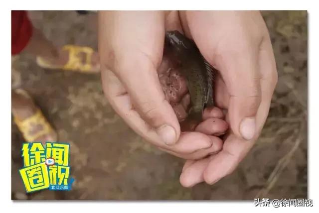 致我们回不去的童年电视剧,致我们回不去的童年完整版