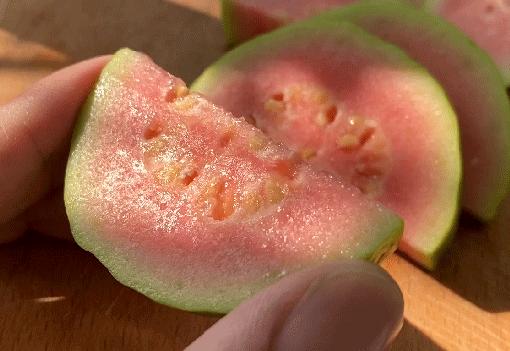 正宗又甜又脆红心芭乐,芭乐软糯香甜5斤