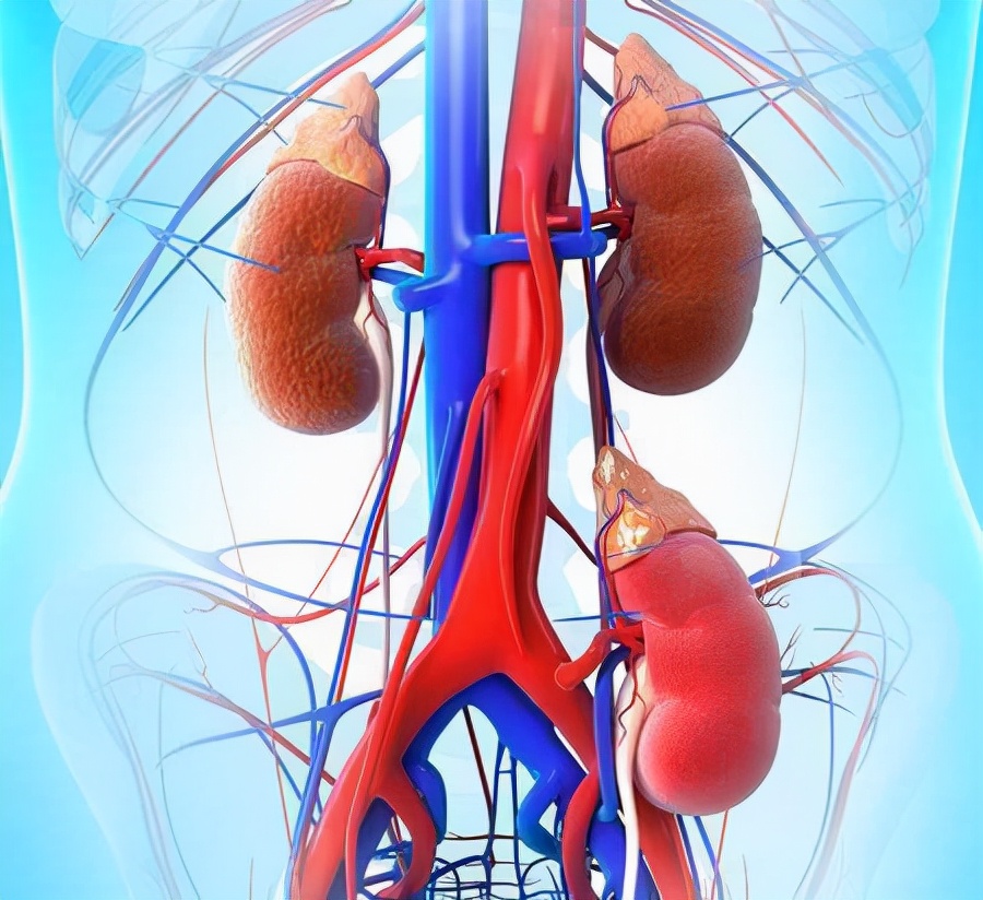 10年前，那个卖肾买手机的少年，获赔147万后过得怎样？