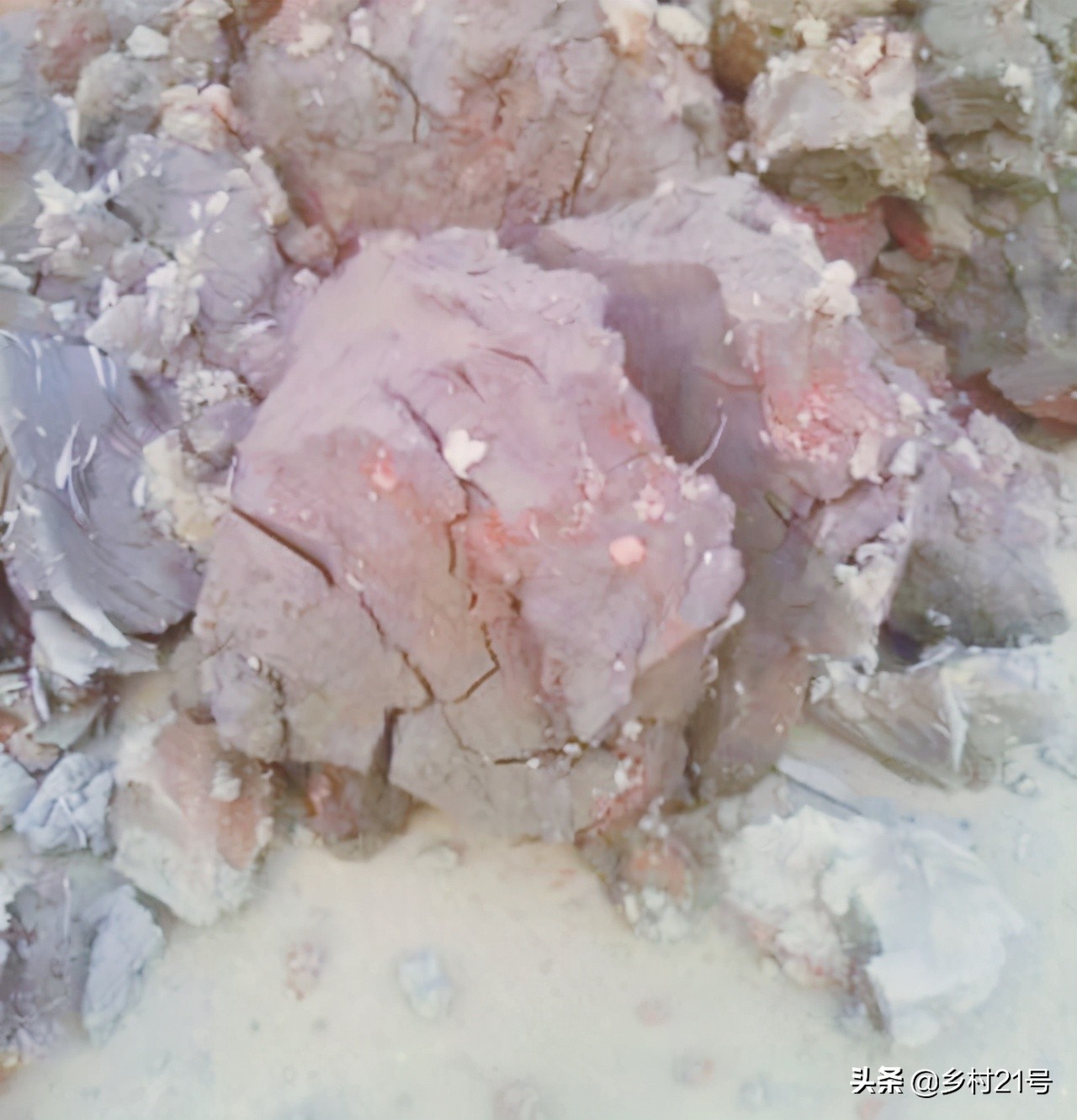 盆栽荷花种植的正确方法,盆栽荷花技巧与方法