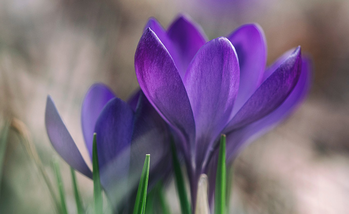 高中语文概括论证思路,高一语文分析论证方法