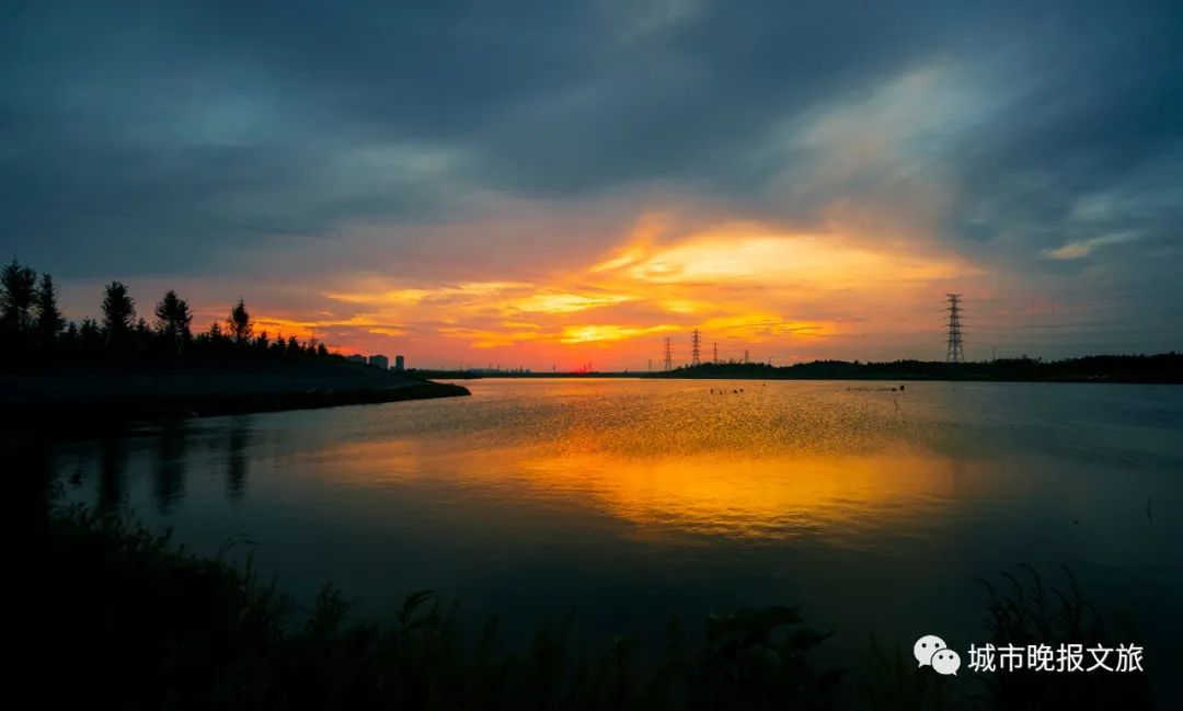 城晚拍拍丨飞鸟过帆影