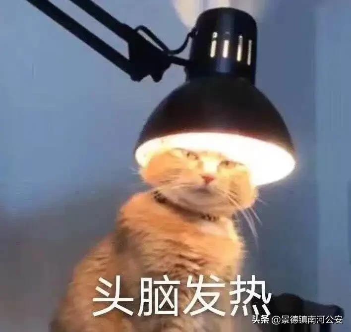 面都没见过被骗了四十多万后续,面都没见过就想办法借钱