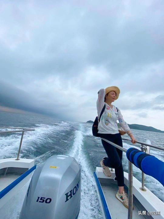 2016年獐子岛扇贝为什么回来了,扇贝回流獐子岛