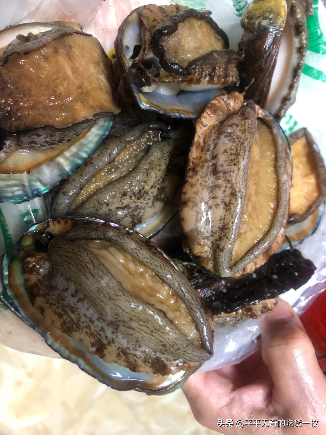 鲍鱼怎么蒸比较清凉好吃,鲍鱼带壳清蒸最简单的做法